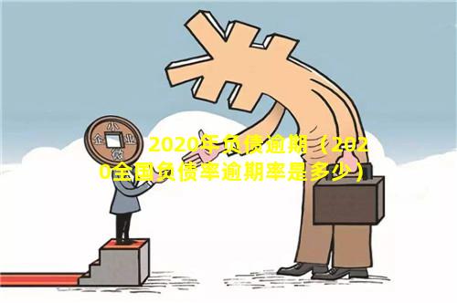 2020年负债逾期（2020全国负债率逾期率是多少）