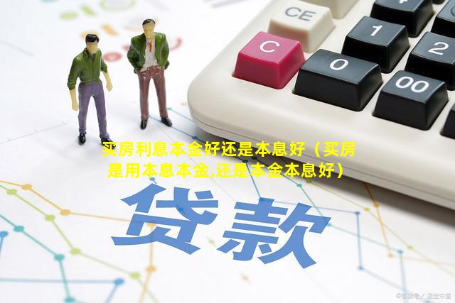 买房利息本金好还是本息好（买房是用本息本金,还是本金本息好）