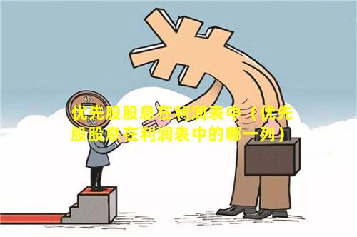 优先股股息在利润表中（优先股股息在利润表中的哪一列）