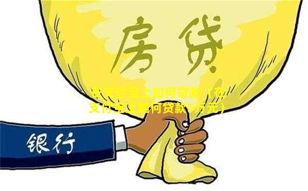 在支付宝上如何贷款（在支付宝上如何贷款5万元）