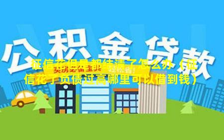 征信花但是都结清了怎么办（征信花了负债过高哪里可以借到钱）